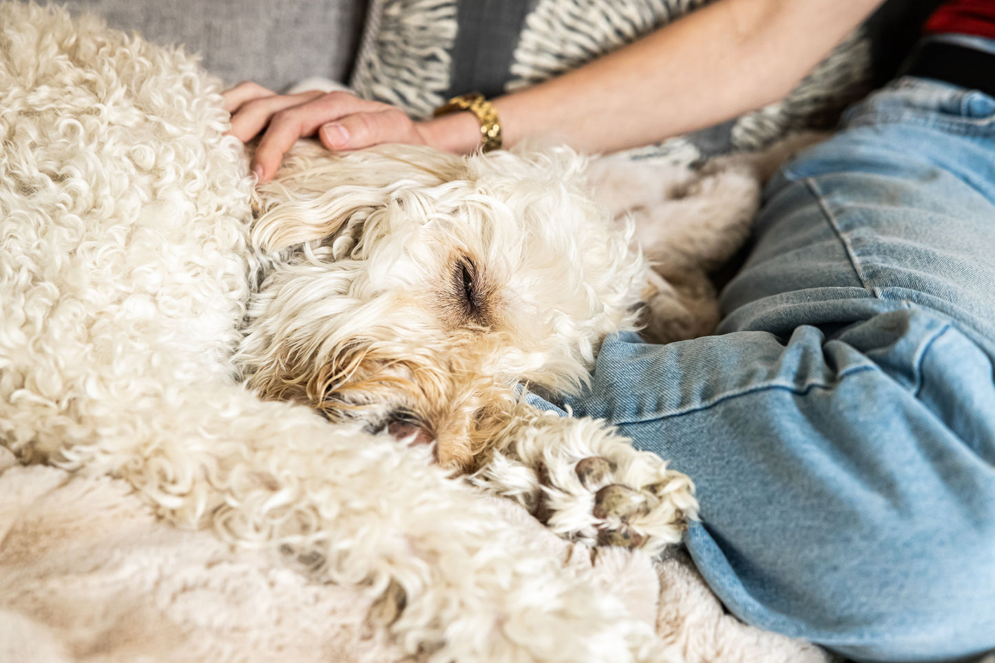 Calming & Sleep Aid